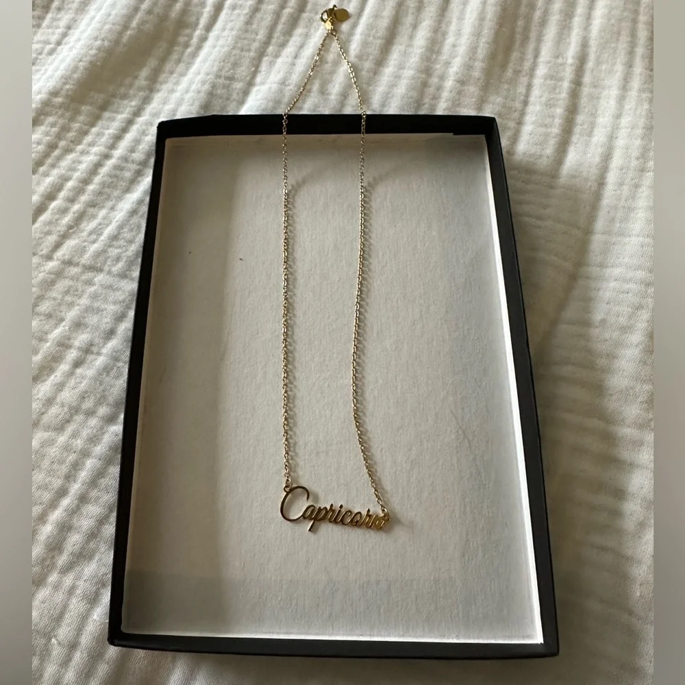 Gold Capricorn Delicate Dainty Necklace - Picture 2 of 2